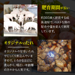 四万十ポーク とろとろチャーシュー セット (約200g×4) 焼豚  焼き豚 チャーシュー ／Adf-27