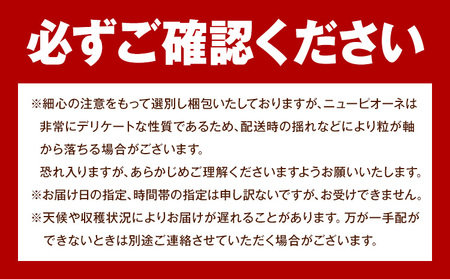 【2026年先行予約】ご家庭用 岡山県産 ニューピオーネ 約1.2kg 2-3房 晴れの国 おかやま館(つむぐ株式会社)《2026年8月下旬-10月上旬頃出荷》岡山県 浅口市 マスカット ぶどう 葡萄 果物 フルーツ 送料無料【配送不可地域あり】（離島）