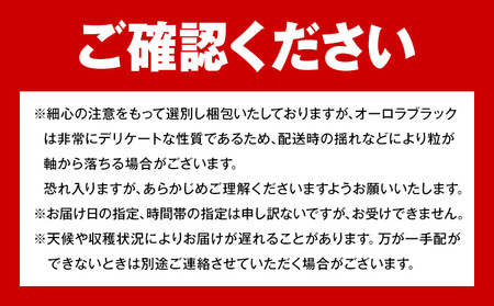 【2026年先行予約】ご家庭用 岡山県産 オーロラブラック 約1.2kg 2-3房 晴れの国 おかやま館(つむぐ株式会社)《2026年8月下旬-9月下旬頃出荷》岡山県 浅口市 マスカット ぶどう 葡萄 果物 フルーツ 送料無料【配送不可地域あり】（離島）