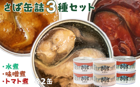 【定期便/５回】タイム缶詰の人気缶詰で応援！セット【 いわし メバチ マグロ ツナ缶 サバ 水煮 味噌煮 煮付け トマト煮 食べ比べ 】RT2364