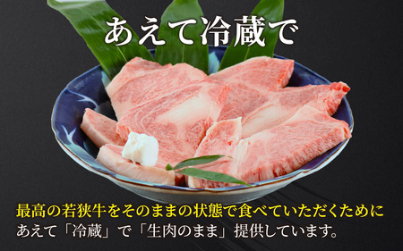 若狭牛A5ランク リブロース極上ステーキ肉 [E-037007]
