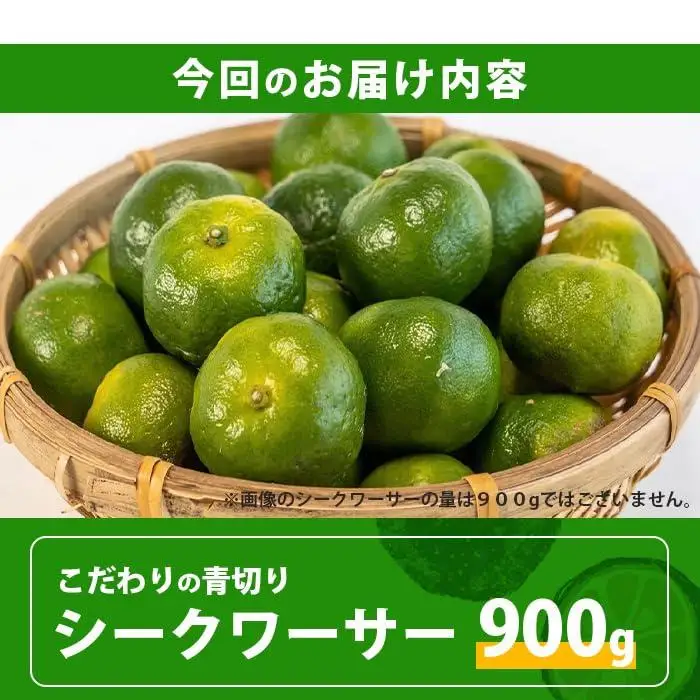 【先行予約】こだわりの青切りシークワーサー 900g 約30～40個 