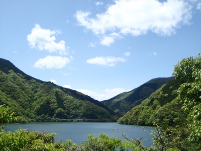 【丹沢湖畔の蕎麦宿　落合館】一泊二食付き宿泊券　丹沢湖畔でのんびり過ごす休日　１名様【 宿泊券 旅行 体験 チケット 1名 夕食朝食付 神奈川県 山北町 】