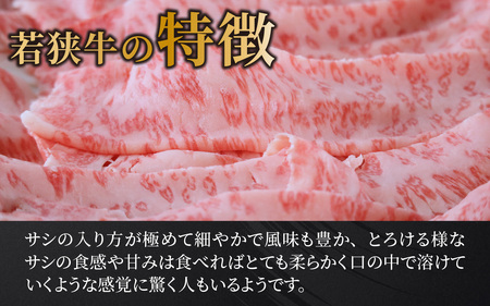 若狭牛A5ランクお試しセット[B-037010]