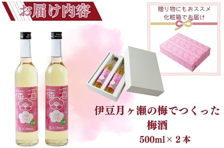 伊豆の月ヶ瀬で人気の梅シロップが今度はお酒になりました！ 伊豆月ヶ瀬の梅でつくった梅酒２本セット
