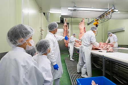 お肉博士と工場見学　近江牛スゴーイ！～お持ち帰りできる近江牛500g付～【CB13W】