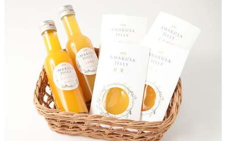天草のフルーツを使用したジュースとゼリーセット！AMAKUSA JUICE・JELLYセット