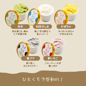 【高評価★4.7以上】北海道感動カップジェラート 120g×12個 セット 北海道ミルク 知床のしお クリームチーズ 野いちご 抹茶 コーヒー チョコチップ バニラ かぼちゃ ゴマ ジェラート アイス カップアイス アイスクリーム スイーツ ふるさと納税 北海道 中標津町 中標津【1200102】