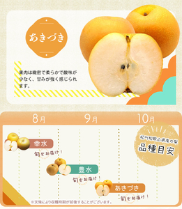 梨 3玉 化粧箱入 紀州和歌山 かつらぎ産【2026年8月中旬頃〜2026年9月上旬頃発送予定】【uot787】
