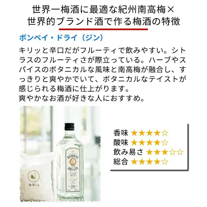 梅酒作成スタンダードキット（ジンベース）  umslabo009A【umslabo009A】