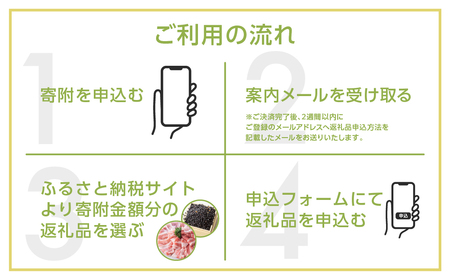＼あとから選べる ／オンラインカタログ あとからチョイス 800万円 8000000円 有効期限なし 後から選べる 飛騨牛 結旨豚 肉 総菜 スイーツ 工芸品 お米 特産品 宿泊 食事券 体験 チケット お酒 岐阜県白川村 世界遺産 白川郷 無期限 S684