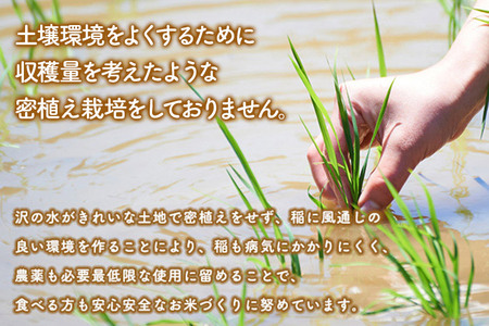 【無洗米】備蓄米 あきたこまち 20kg(2.5kg×8袋) 秋田県産 令和7年産  こまちライン 災害時 緊急時の備えに