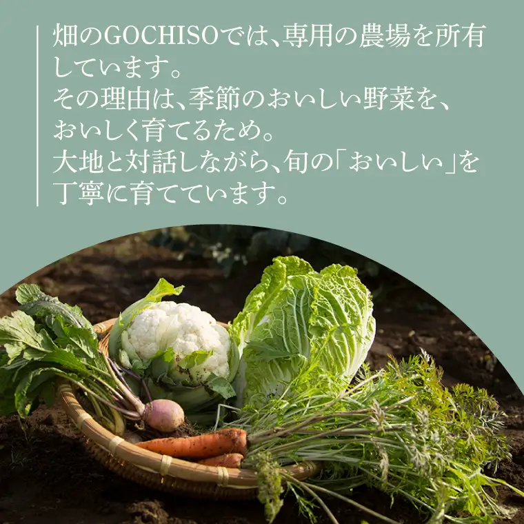 『畑のGOCHISO』ランチペアチケット（GU-1）