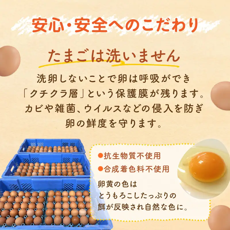 テトラエッグ特選卵『バボルナの宝石』（30個/月）【6カ月定期便】【E7-004】