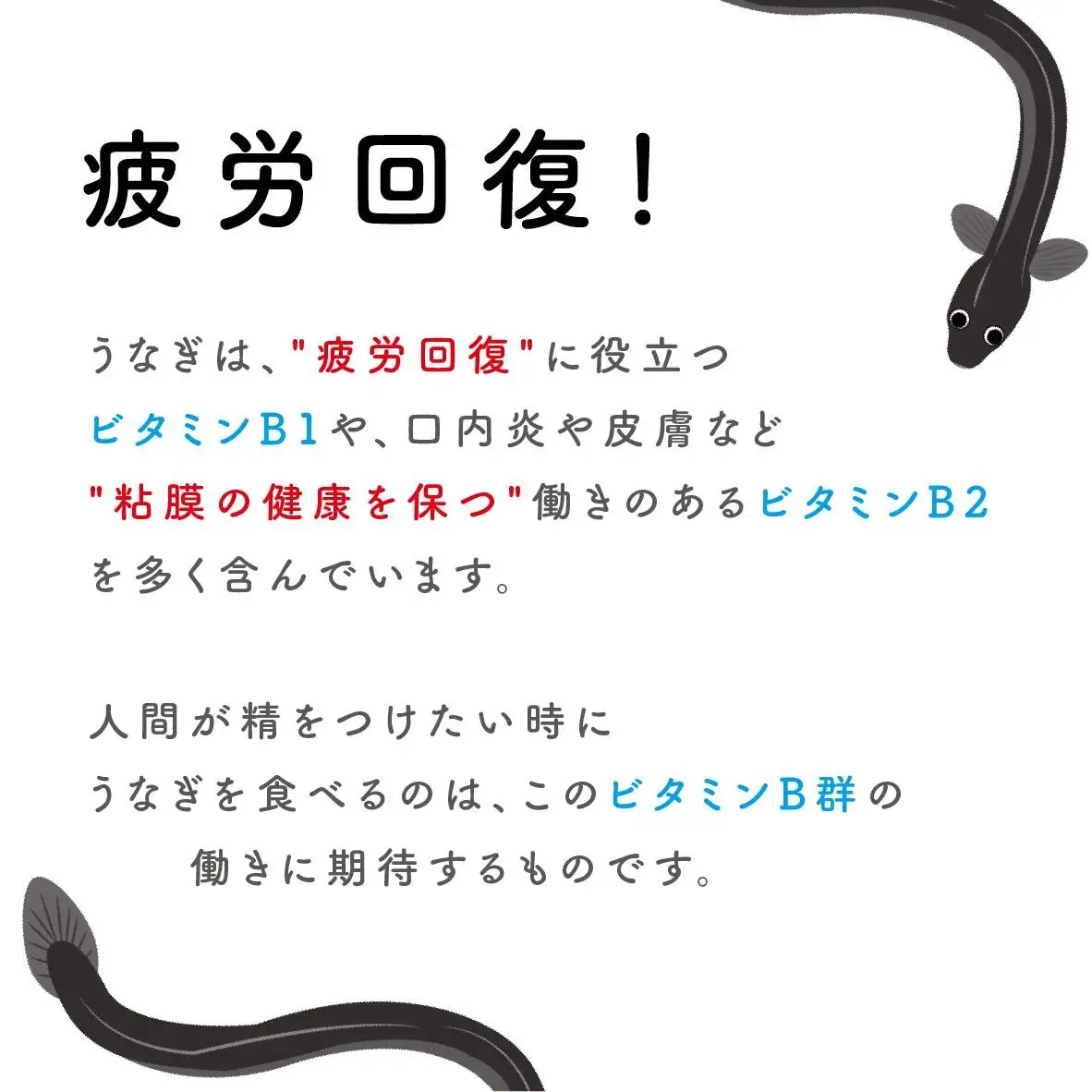 ペットフード研究所 鰻頭 1kg【087C-007】