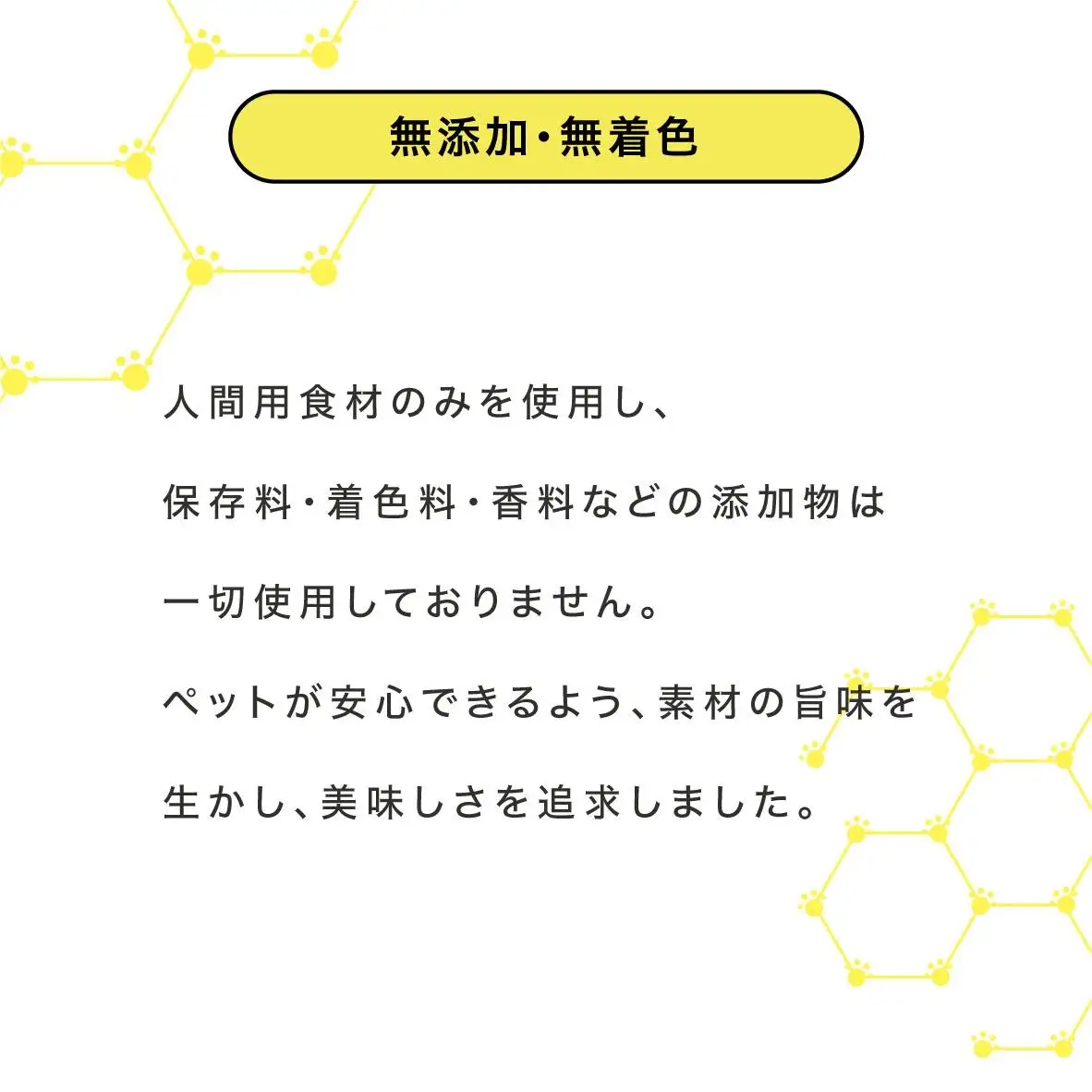ペットフード研究所 国産無添加 贅沢ささみステーキ100g【087E-004】