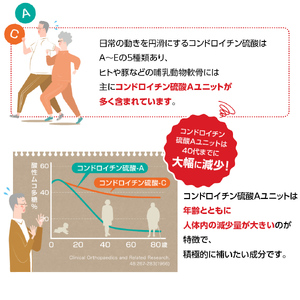 グルコサミンコンドロイチン EX 240粒入り サプリ サプリメント ダイエット 健康 グルコサミン コンドロイチン コラーゲン 豚由来 コラーゲンペプチド 医薬品 関節 ウォーキング 散歩 日本ハム ニッポンハム 送料無料 [sf069-002]