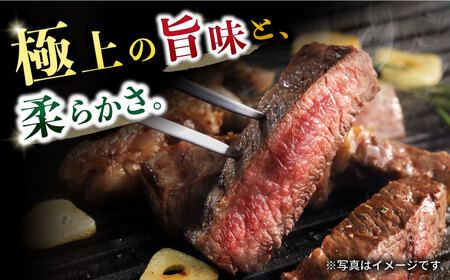 長崎和牛サーロインステーキ2枚セット 計640g / 牛肉 サーロインステーキ さーろいんすてーき サーロイン さーろいん ステーキ すてーき 小分け / 大村市 / おおむら夢ファームシュシュ[ACAA064]