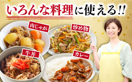 【12回定期便】 内閣総理大臣賞受賞！長崎和牛 切り落とし 400g 総計4.8kg / 長崎和牛 国産 和牛 切り落とし / 大村市 / かとりストアー[ACAN071]