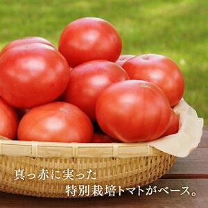 野菜ジュースVegemix（ベジミックス）10缶ギフト | 野菜ジュース_03645