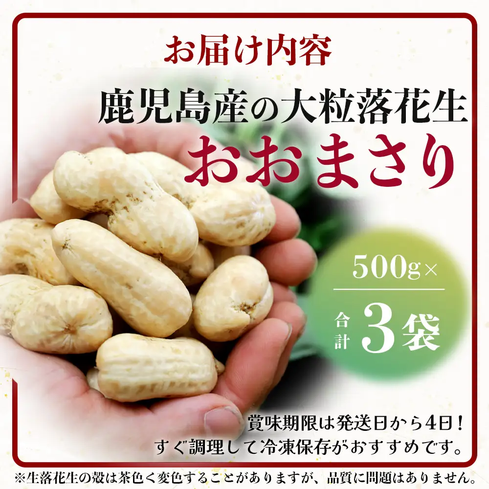 【先行予約】食べ応え抜群の大粒落花生「おおまさり」500g袋×３袋≪数量限定≫ FR-312｜鹿児島県産 野菜 やさい 食品 人気 おすすめ 送料無料 落花生 おおまさり 産地直送 新鮮 南大隅町