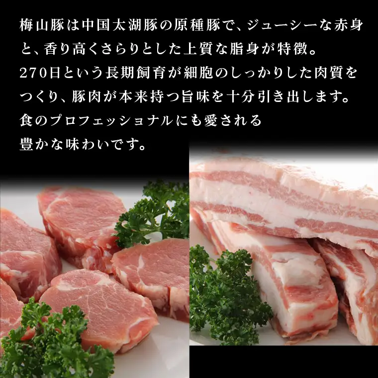 K2319 梅山豚のハンバーグ ３種セット