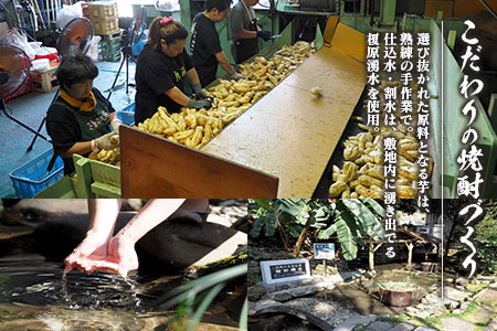 本格焼酎 飫肥杉 原酒 孤独な天使 飲み比べ セット 合計2本 アルコール 飲料 国産 お酒 地酒 晩酌 芋焼酎 デーツ焼酎 貯蔵熟成 宅呑み 家呑み 希少 ストレート ロック ソーダ割 人気 おすすめ 詰め合わせ お取り寄せ お祝 記念日 宮崎県 日南市 送料無料_CD45-23