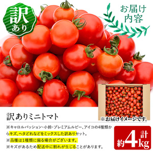 訳あり・規格外！数量限定の門川町産ミニトマト(計約4kg)フルーツトマト とまと 野菜 キャロルパッション 小鈴 プレミアムルビー アイコ ミックス 生 旬野菜 冷蔵【X-11】【いけとも農園】