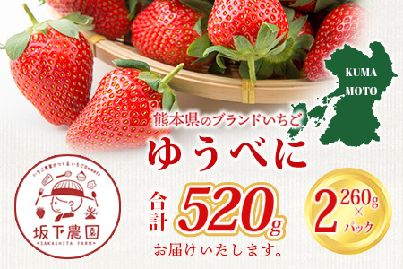 【4月20日まで】熊本県産 ゆうべに 約260g×2パック 4月終了 103-0001