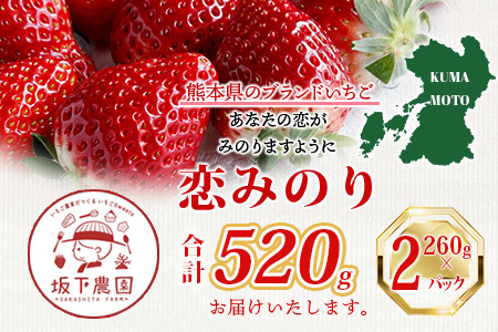 【先行予約】熊本県産いちご 恋みのり 約260g×2パック 103-0003