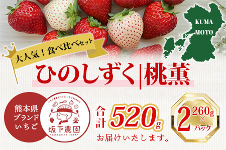【先行予約】熊本県産いちご ひのしずく・白いちご 約260g×2パック 産地直送 国産 新鮮 フレッシュ 果物 苺 イチゴ フルーツ 103-0007
