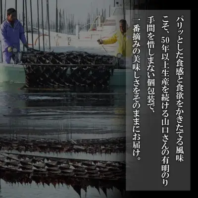 Y61-29 一番摘み 高級 有明のり 100枚 のり