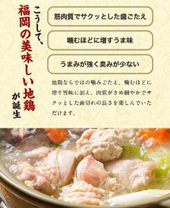 はかた地どり水炊き6種盛りセット 3～4人前