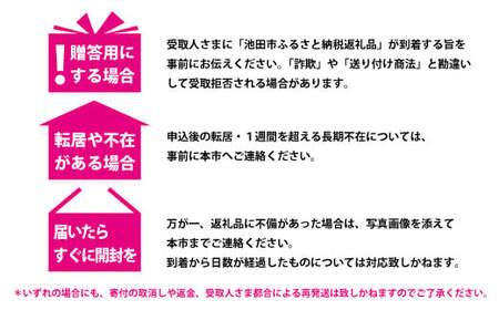 【05-05-C】「インスタントラーメン発祥の地・大阪池田」お手頃ハーフサイズセット