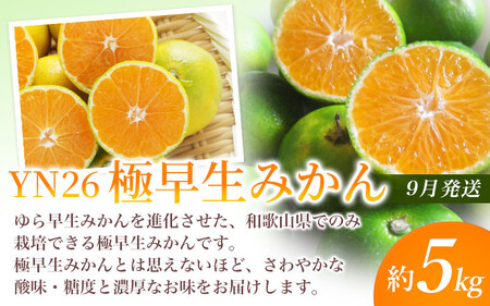 【定期便】夏の人気フルーツ定期便！桃・ピオーネ・極早生みかん（全3回）/ フルーツ 果物 もも モモ ぶどう ブドウ みかん ミカン 柑橘 旬 定期便  【tkb153】