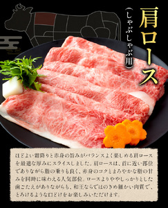 和王 肩ロース しゃぶしゃぶ 約400g 菊池地域農業協同組合(JA菊池まんまキッチン)《90日以内に出荷予定(土日祝除く)》熊本県 菊池市 くまもと黒毛和牛 和牛 牛肉 お肉 熊本県産 九州産 国産 冷凍 送料無料