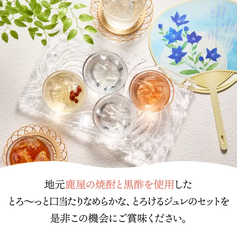 343-1 鹿屋ジュレセット KN017-005 菓子