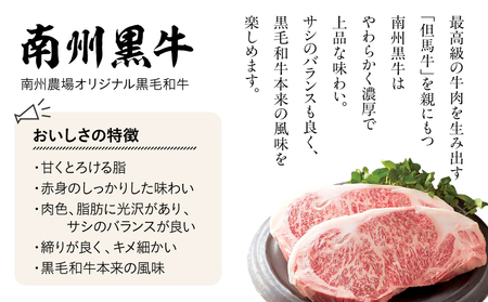 1394 南州農場 黒豚焼豚詰合せ（化学調味料不使用）＜NN-3129＞ KN005-002 肉 豚肉