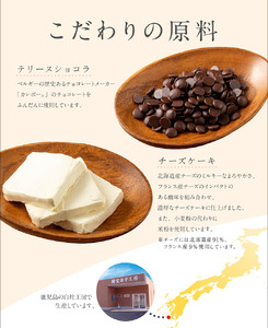 2029 オクタス テリーヌ ショコラ チーズケーキ 2種セット KN021-029 米 ケーキ