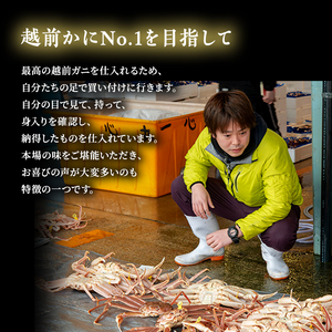 かに 期間限定 茹で 越前がに 約700g以上 1杯 ずわい蟹 ボイルカニ ボイル 魚介類