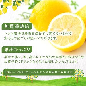 皮まで美味しい無農薬レモン 約2kg【栽培期間中農薬不使用】