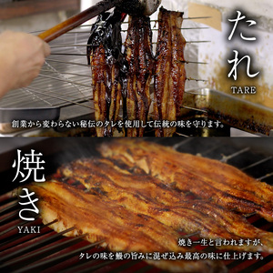 うなぎ蒲焼バラエティセット（三河産）【3ケ月連続お届け】 魚貝類 ウナギ 鰻 