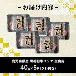 鹿児島県産 黒毛和牛 ユッケ 5人前 40g×5P 計200g 【カミチク】 i907