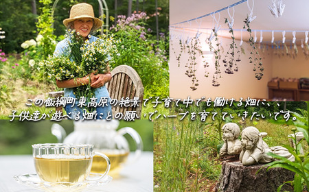 ハーブティー 1袋 ( 5g ) 種類おまかせ 飯綱ハーバルブリーズ 飲料 ハーブ ティー お茶 ミント マロウ キンセンカ シャクヤク カモミール 信州 長野県 飯綱町 [1750]