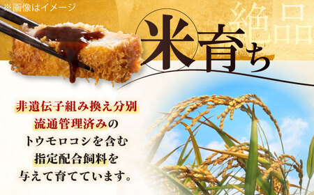 平田牧場 ロース ステーキ 800g  (100g×8枚) ※藻塩付 豚肉 とんかつ 生姜焼き[AJAP004]