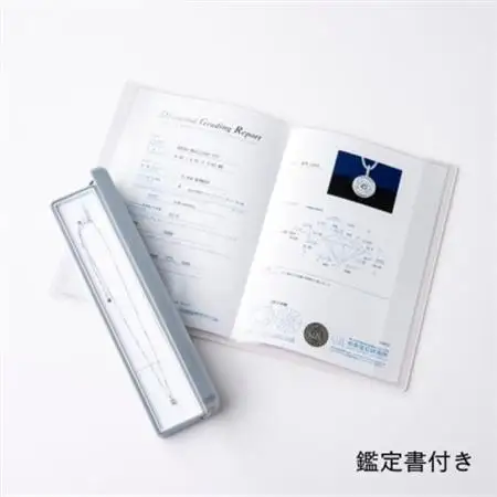 プラチナ最上等級【Dカラー】大粒ダイヤモンドネックレス 0.3ct UP【配送不可地域：沖縄県】【1469142】