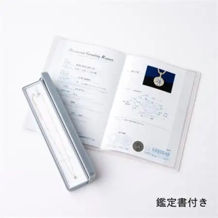 K18最上等級【Dカラー】大粒ダイヤモンドネックレス 0.3ct UP【配送不可地域：沖縄県】【1469143】