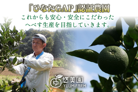 【期間限定発送】 へべす ひなたGAP認定 ふぞろい 2kg [へべすの悠美園 宮崎県 日向市 452060725]