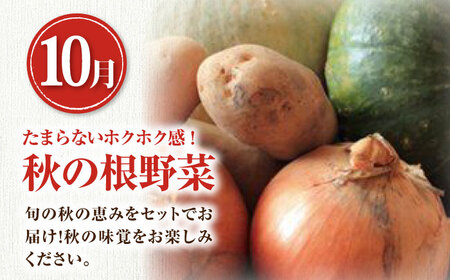 【全3回定期便】【先行予約】旬の恵み 3品目 [AJAH003] 野菜 定期便