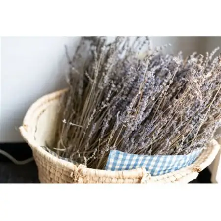 【橋立ベイホテル】ペア宿泊券　1泊素泊り　スタンダードツイン21平米_旅行券・チケット 宿泊券  _【1475304】